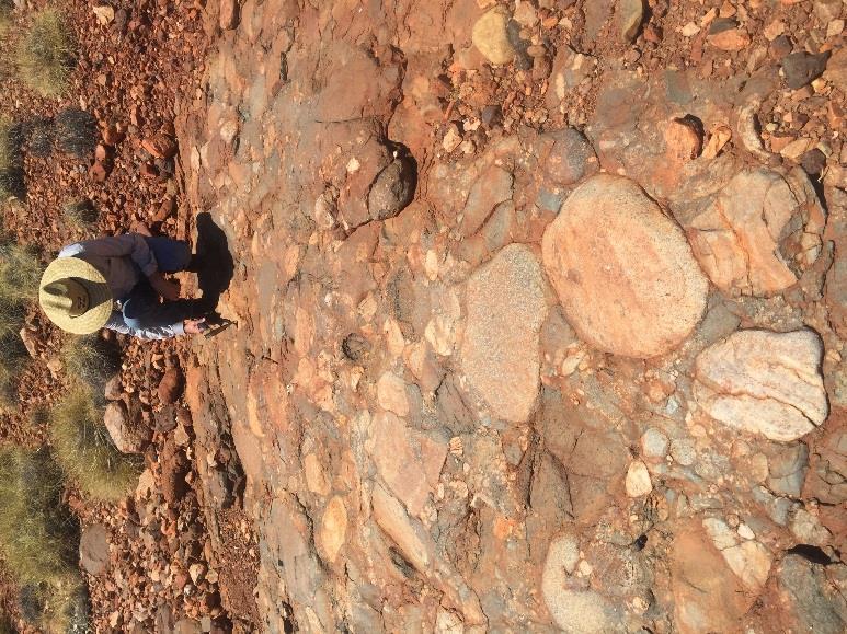 Conglomerate was observed over a strike length of at least 1.5km and down-dip for a minimum of 200 metres before being obscured by colluvium.