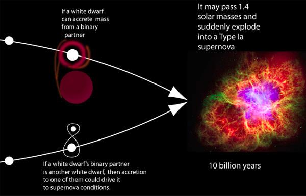 Type 1a Supernovae Explosion of white dwarf in binary system Accretes mass from partner Explodes when it becomes too heavy (1.
