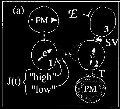 Motivations General framework : using the spin degree of freedom of electrons for «quantum computation» in condensed