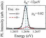 Dependence of DNP on the electron spin polarization <S z > Excitation polarization is varied step by step from σ+ to σ- <S z > and δ n are both measured (See also C.