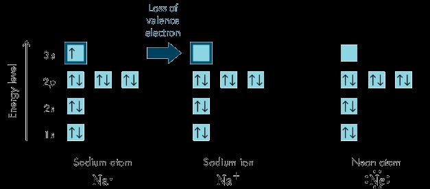 Formation of Cations Group 1A Cations Both the sodium ion and the neon atom have eight electrons in their valence