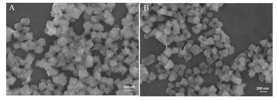 Fig. S6 SEM image of Fe-MIL-88NH 2 nanoparticles