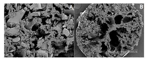 transfer of phosphate and prevent leakage of ZS particles that were broken down during the elution process. Figure 6: SEM images of the cross-section of P-ZS at 400 (A) and 60 magnifications (B).
