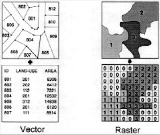 Vector & Raster Data Representations Vector Data Representation Defined using (x,y) coordinate pairs Representation of points in space Latitude / longitude UTM (Universal Transverse Mercator) grid