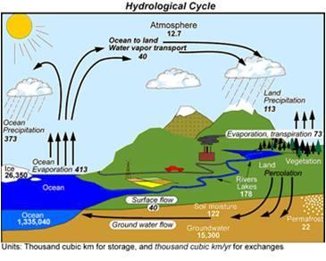 Land Surface in NWP Land surfaces: Boundary conditions at the lowest level of the atmosphere Land surface processes Continental hydrological cycle, interaction with the atmosphere on various time and