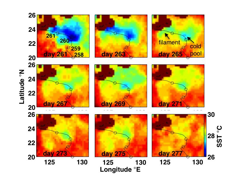 Figure 2. The SST cold wake of Typhoon Fanapi from the Remote Sensing Systems (RSS) microwave-only optimal interpolation (MW OI) SST product.