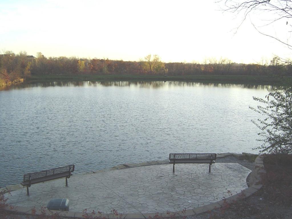 Ponds Provide water Low areas can cause early morning