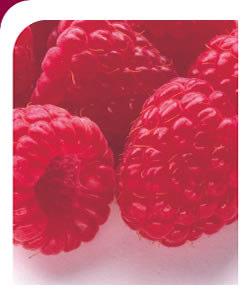 & raspberries May