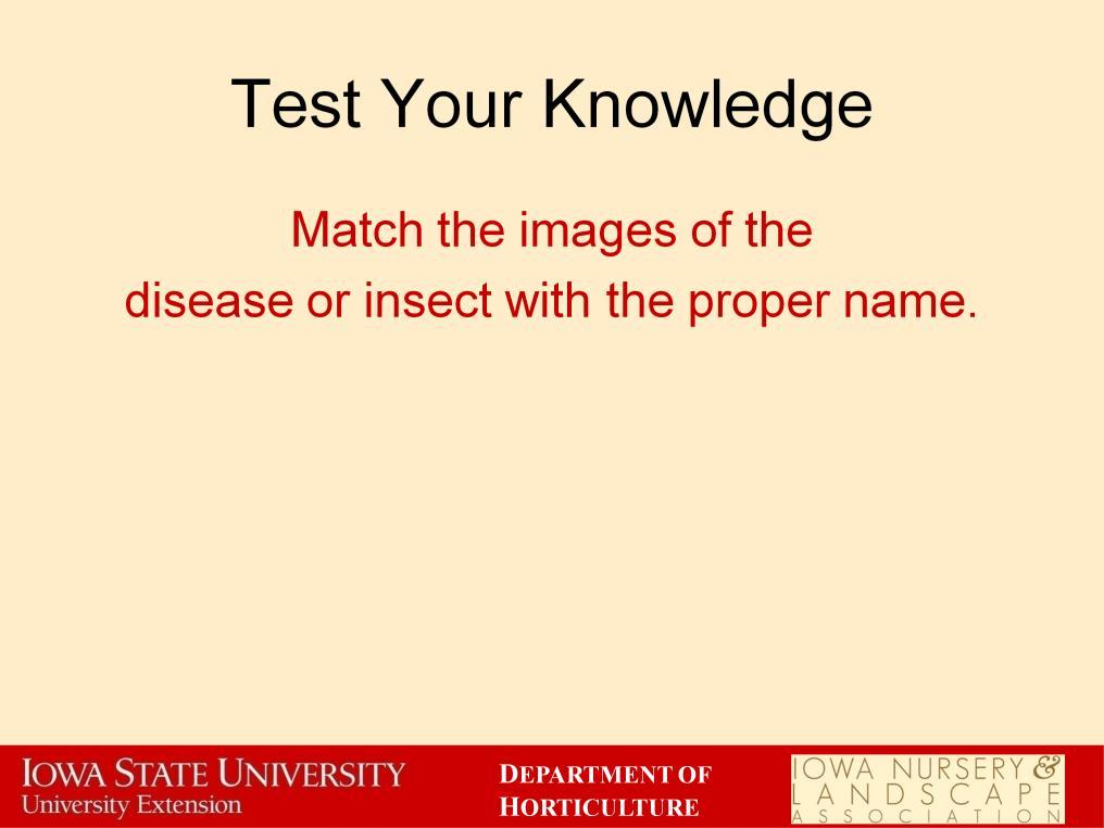 Match the images of the disease