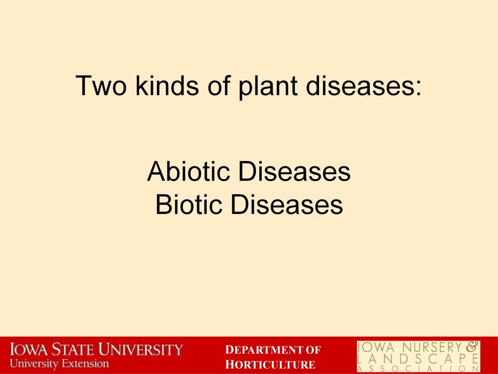Plant diseases are traditionally split into two