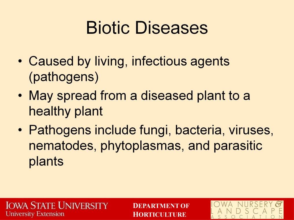 Biotic diseases are what most people think of when they think of plant diseases. Biotic diseases are caused by living, infectious agents that are called pathogens.