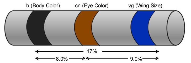 Practice Problems Body color (b) Eye color (cn) Wing