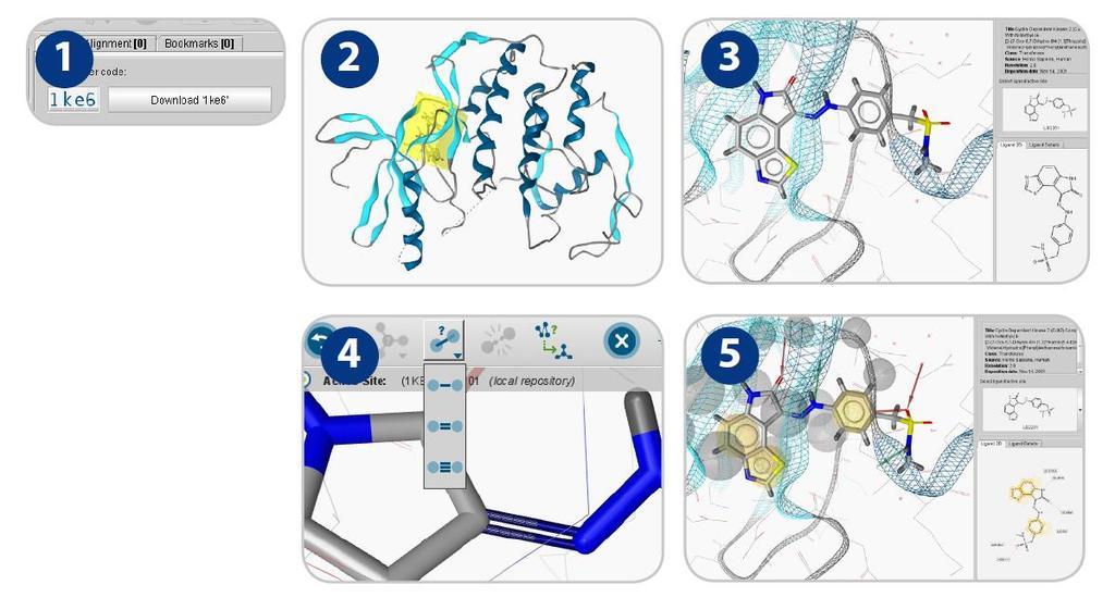 Ligand Scout Tutorials Step : Creating a pharmacophore from a protein-ligand complex. Type ke6 in the upper right area of the screen and press the button Download *+.