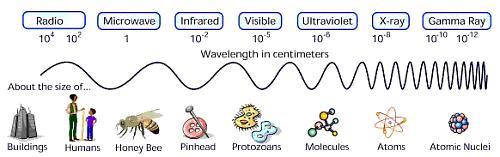 Electromagnetic Waves: One Velocity, Many Wavelengths!