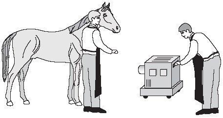 The person who will take the X-ray and the person holding the horse are wearing special aprons. These aprons have a lead lining. Explain why the lead lining is important.