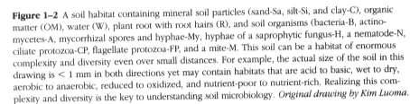 Soil is a living thing! Not a chemical sponge!