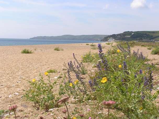 A Level Geography Cambridge International Content Programme For teaching from September 2016 is located on the Start Bay coast in South Devon and is surrounded by Slapton Ley National Nature Reserve.