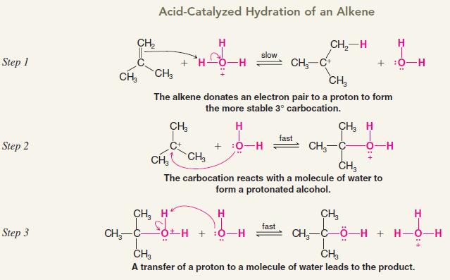 8.5 - Addition of Water to Alkenes: Acid-Catalyzed Hydration - Note how this, too, follows Markovnikov's Rule - HX in H 2 O is the same as H 3 O + because HX will be a strong acid (except for HF),