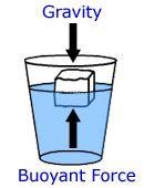 Big Idea 3.0 - Fluids exert a buoyant force on objects that cause some objects to float.