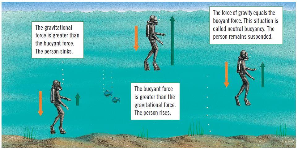 The Rule of Buoyancy