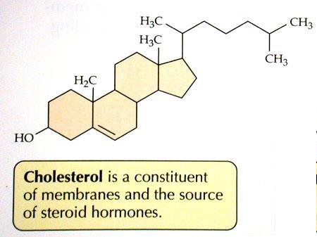 BIOCHEMISTRY Steroids: Four