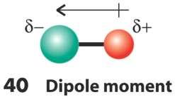 Electronegativity What makes covalent bonds partly ionic? Electric Dipole: A positive charge next to an equal but opposite negative charge.