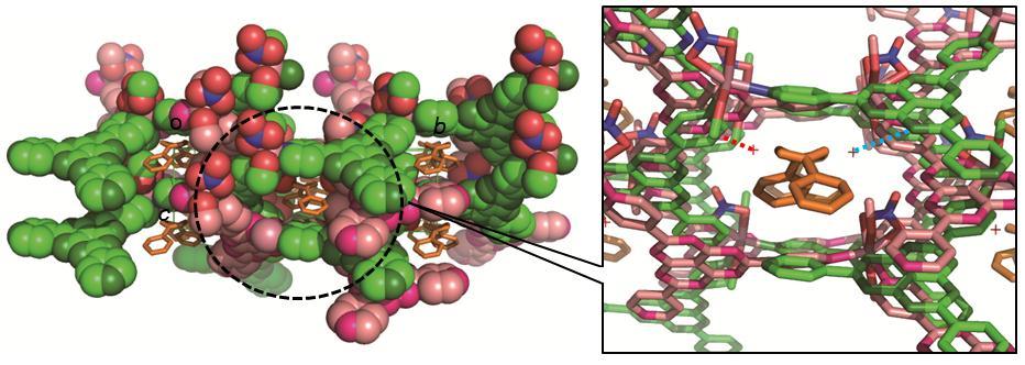 Fig. S3 The N HO type hydrogen bonding interactions in a pore of TPHAP-Co Therm