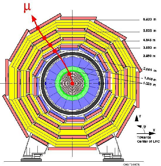 v) Magnetic field configurations Since the beam must not be disturbed by the detector s magnetic field only two field configurations seem ossible: a) Solenoid The symmetry axis of the solenoid