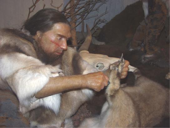 The Homo neanderthalensis used tools and may have worn clothing. There is considerable debate about the origins of anatomically modern humans or Homo sapiens sapiens. As discussed earlier, H.
