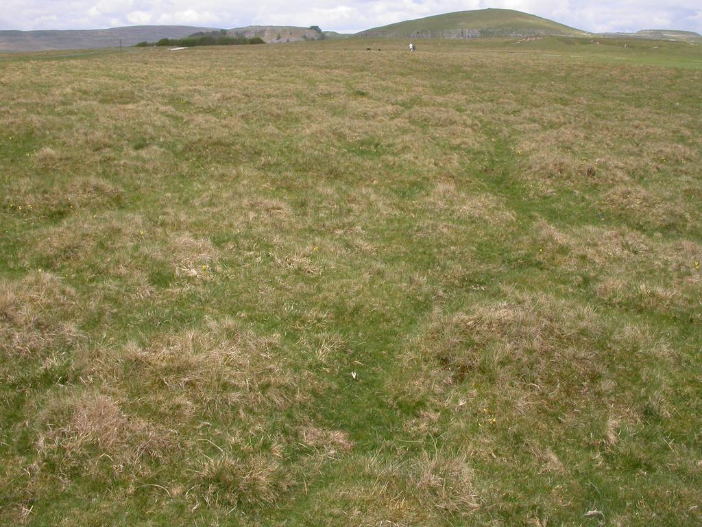 Some suggested targets for the creation of calcareous grassland The canopy of trees should be no more than 5%. Shrubs should cover no more than 30% of the area.