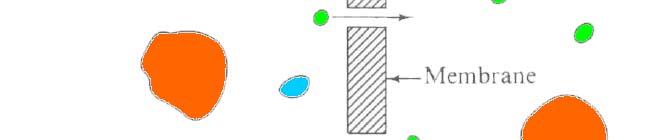 Diffusion through membranes Permeability.