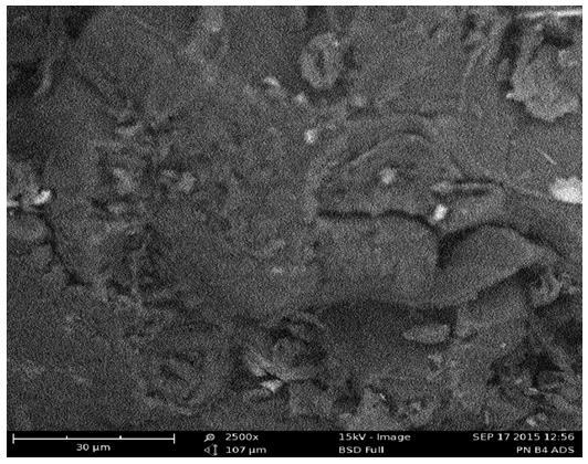 III. Results And Discussion 3.1. Scanning Electron Microscopy The surface morphology of the adsorbent surface shown in fig.