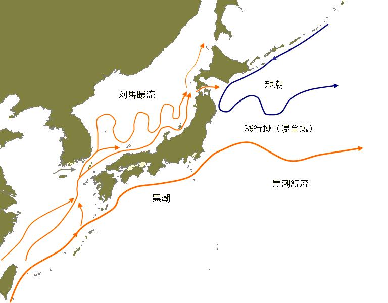 Future of Kuroshio/Oyashio ecosystems: