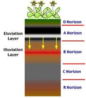 7. Soil Water The amount of water in the soil varies from nil in arid climates to a state of complete waterlogging. Soil Horizon Soil horizons are the building blocks of soil classification.