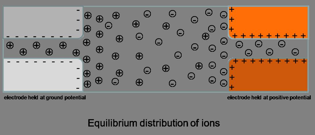Figure 3.1: The model geometry that is filled with an electrolyte solution containing equal numbers of positive and negative ions.