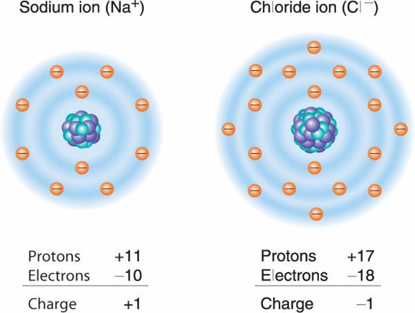 Sodium atom (Cl) Protons +11 Electrons - 11 10