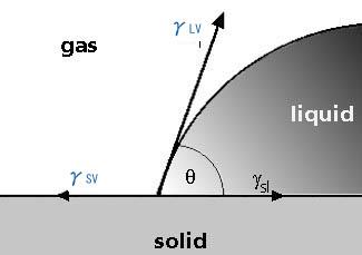 Young s equation Young s Equation: γ LV cos θ Y = γ SV γ SL θ Y : the contact angle on a homogeneous smooth solid surface The static