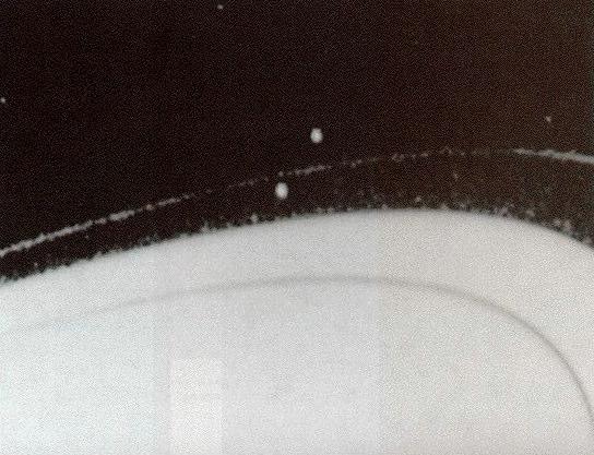 Shepherd Moons Voyager 2 image of Prometheus (Saturn XVI) and Pandora (Saturn XVII) shepherding Saturn s F Ring Shepherd moons gravitationally herd ring particles having nearby orbits.
