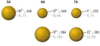 Atom and Common Anion Size Comparison