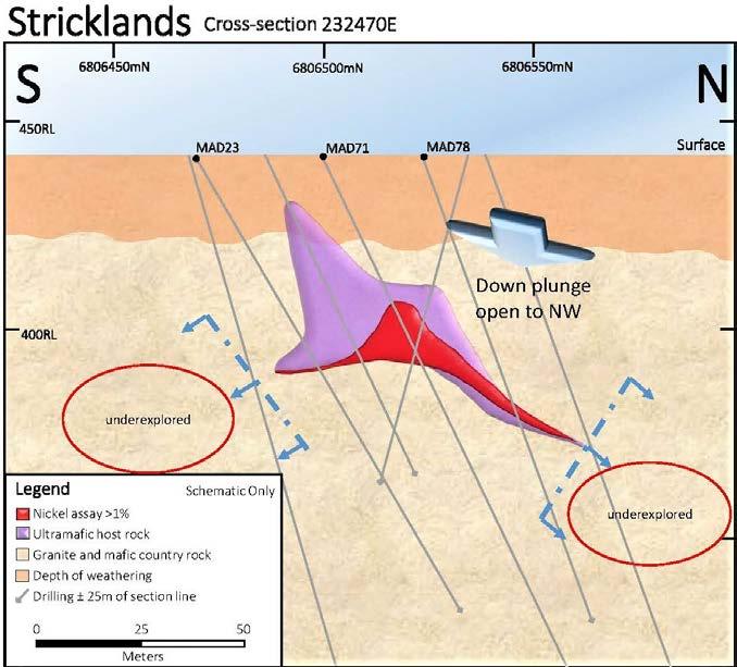 31g/t total PGEs from 50.6. Large areas undrilled and mineralisation open Above: Schematic cross section of the MAD71 line (facing west) at Stricklands based on drill hole data.