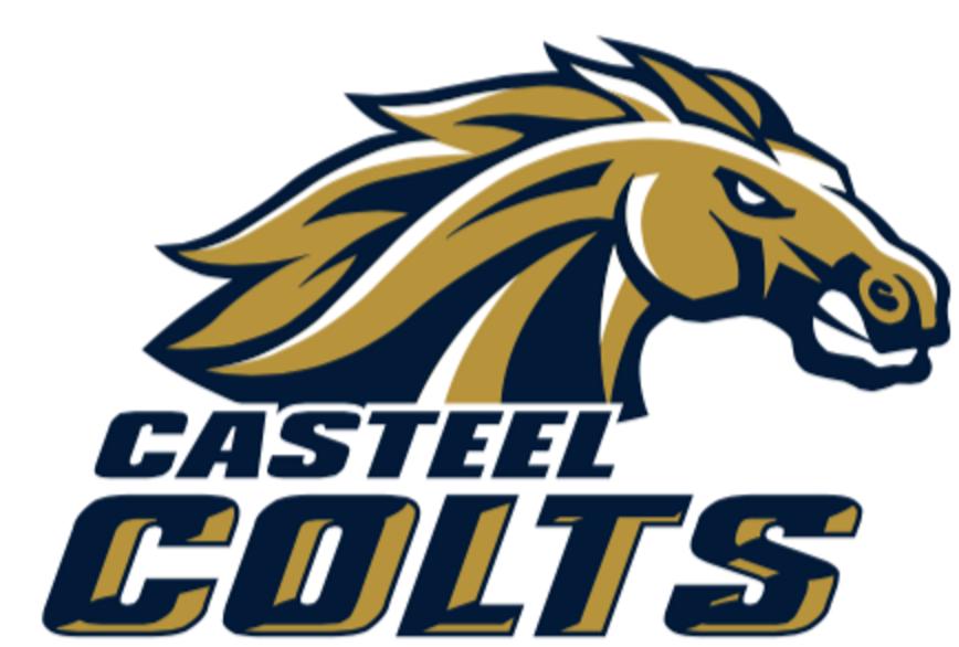 CASTEEL HIGH SCHOOL 2016-2017 CHANDLER UNIFIED SCHOOL DISTRICT 8th Grade Integrated Science MRS.
