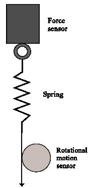 4 In GA, create a table to record the experimental data of mass and position when the spring is stretched and then compressed.