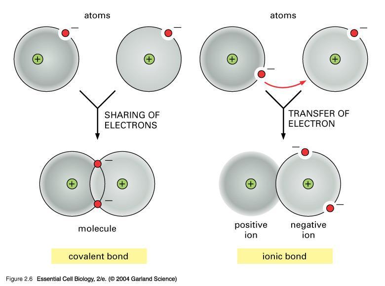 Covalent Share electron pairs to complete valences Ionic Transfer electrons to complete valence for anion,