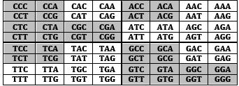 -1,-1,+1,+1, -1,-1] d [+1,+1,+1,+1,-1, -1, -1,-1] d [CTT, CTG, CGT, CGG, ATT, ATG, AGT, AGG]d [+1,+1,+1,+1,-1, -1, -1,-1] d [TCC, TCA, TAC, TAA, GCC, GCA, GAC, [+1,+1,
