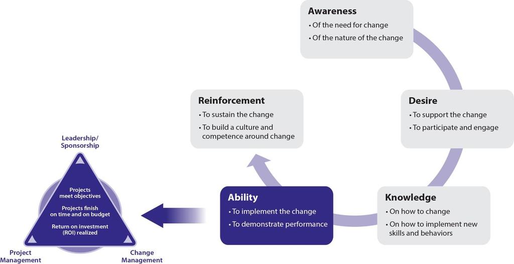 Organizational Change and Individual Change