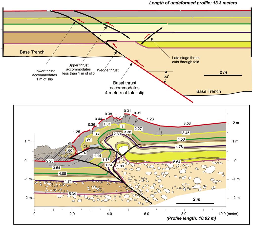 924 J.-C. Lee, Y.-G. Chen, K. Sieh, K. Mueller, W.-S. Chen, H.-T. Chu, Y.-C. Chan, C. Rubin, and R. Yeats Figure 8. Restoration of the scarp and pop-up anticline based on measurement of line lengths.