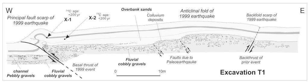 A Vertical Exposure of the 1999 Surface Rupture of the Chelungpu Fault at Wufeng, Western Taiwan 919 Figure 4. Simplified structures exposed in the 70-m-long profile.