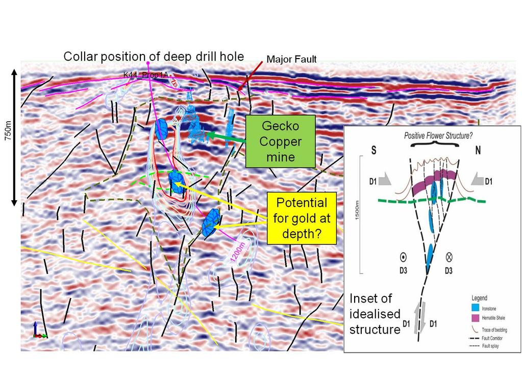 Figure 2: Trace of deep drill hole (purple) on background of seismic reflection.