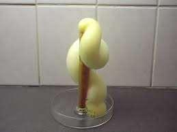 Elephant s toothpaste 1. Pour ~50 ml of 30% hydrogen peroxide solution into the graduated cylinder. 2.