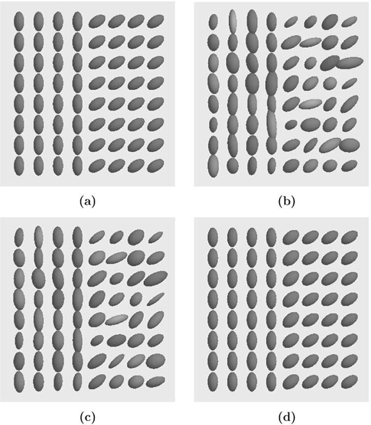 Top to bottom: complex DWIs for varying directions of diffusion encoded magnetic gradient.